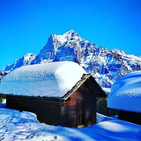 Thun Alps Scenic Views And Concierge By Swisshut