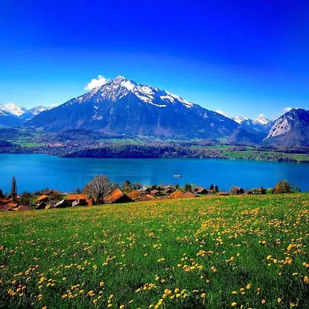 Thun Alps Scenic Views And Concierge By Swisshut Lejlighed Merligen