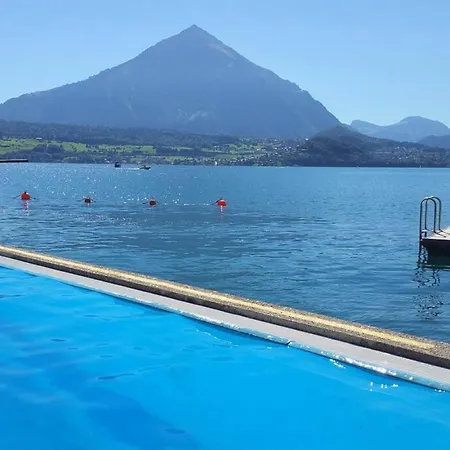 Thun Alps Scenic Views And Concierge By Swisshut