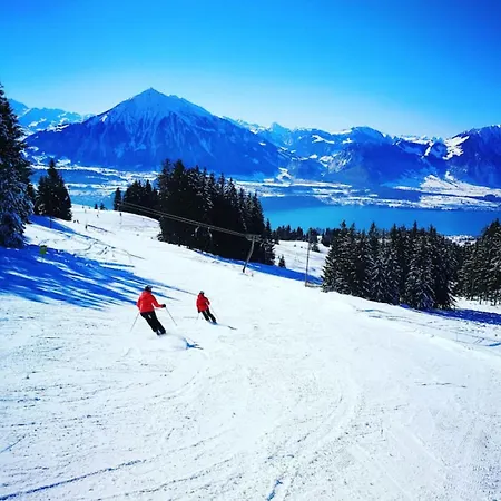 Lake Thun Alps Scenic Views And Concierge By Swisshut Daire Merligen