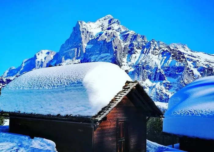 Thun Alps Scenic Views And Concierge By Swisshut