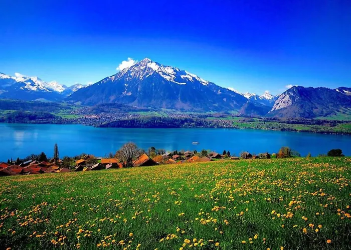 Thun Alps Scenic Views And Concierge By Swisshut Διαμέρισμα Merligen