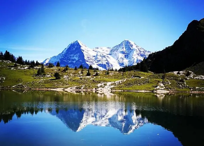 Thun Alps Scenic Views And Concierge By Swisshut Merligen