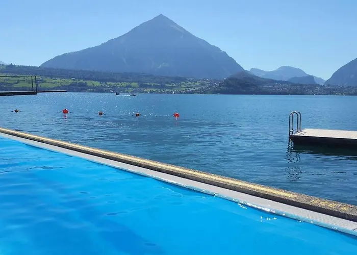 Thun Alps Scenic Views And Concierge By Swisshut