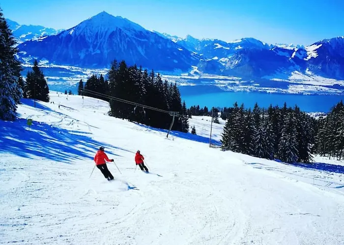 Thun Alps Scenic Views And Concierge By Swisshut Διαμέρισμα Merligen
